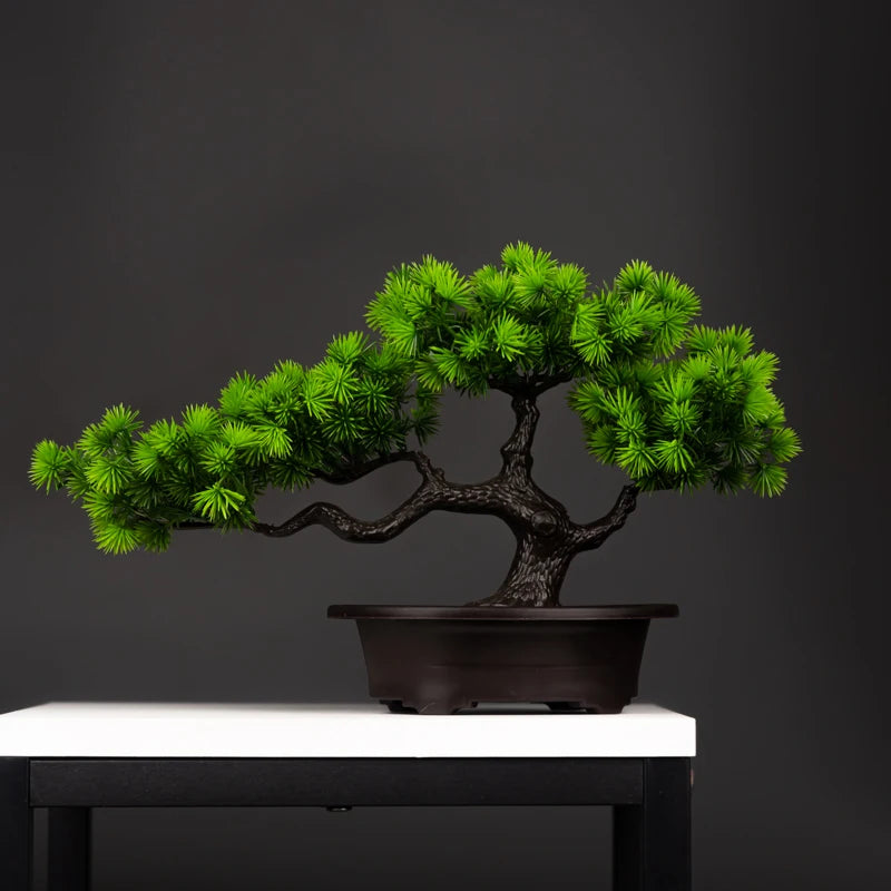 Serene Path Bonsai - London Lake