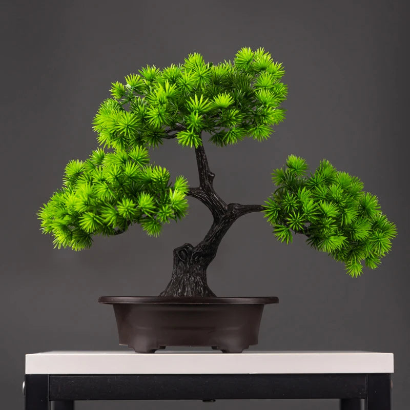 Serene Path Bonsai - London Lake