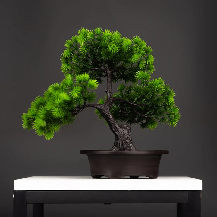 Serene Path Bonsai - London Lake