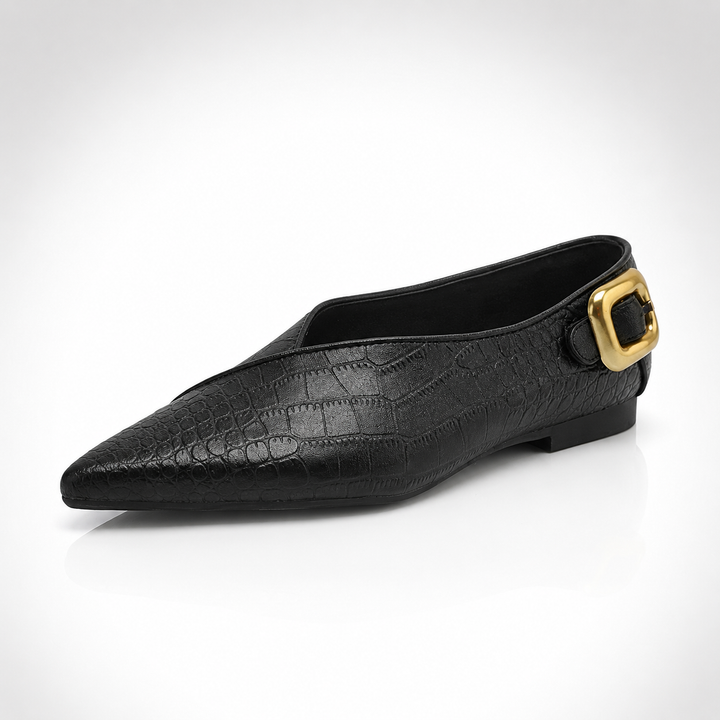 Cavallia Pointed Flats