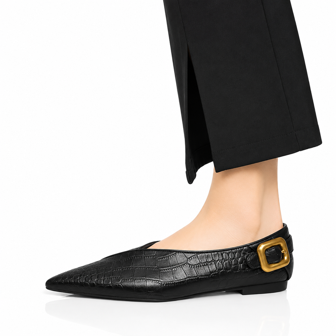 Cavallia Pointed Flats
